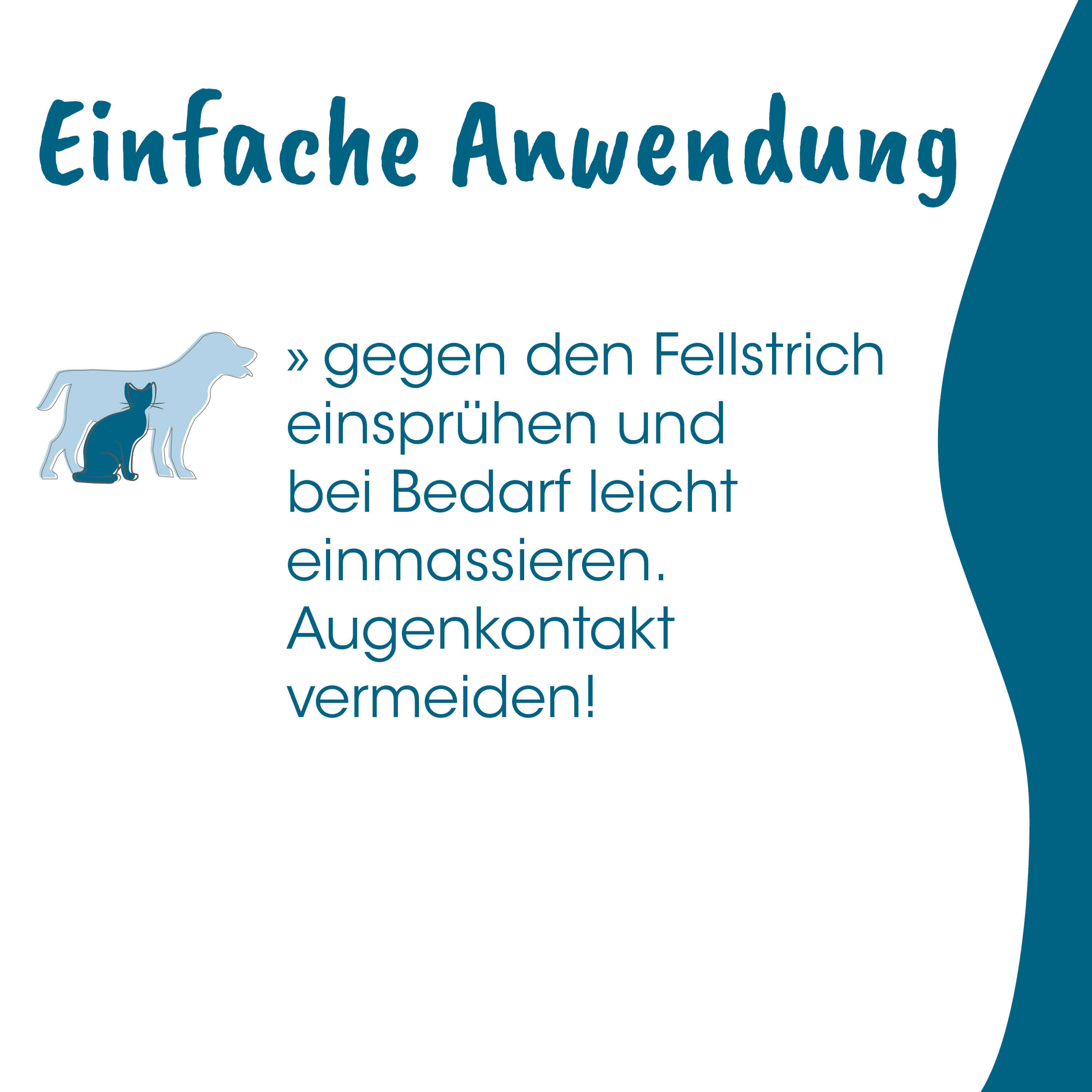 Schilderung, Anleitung, Pferd, Katze, Augenkontakt vermeiden
