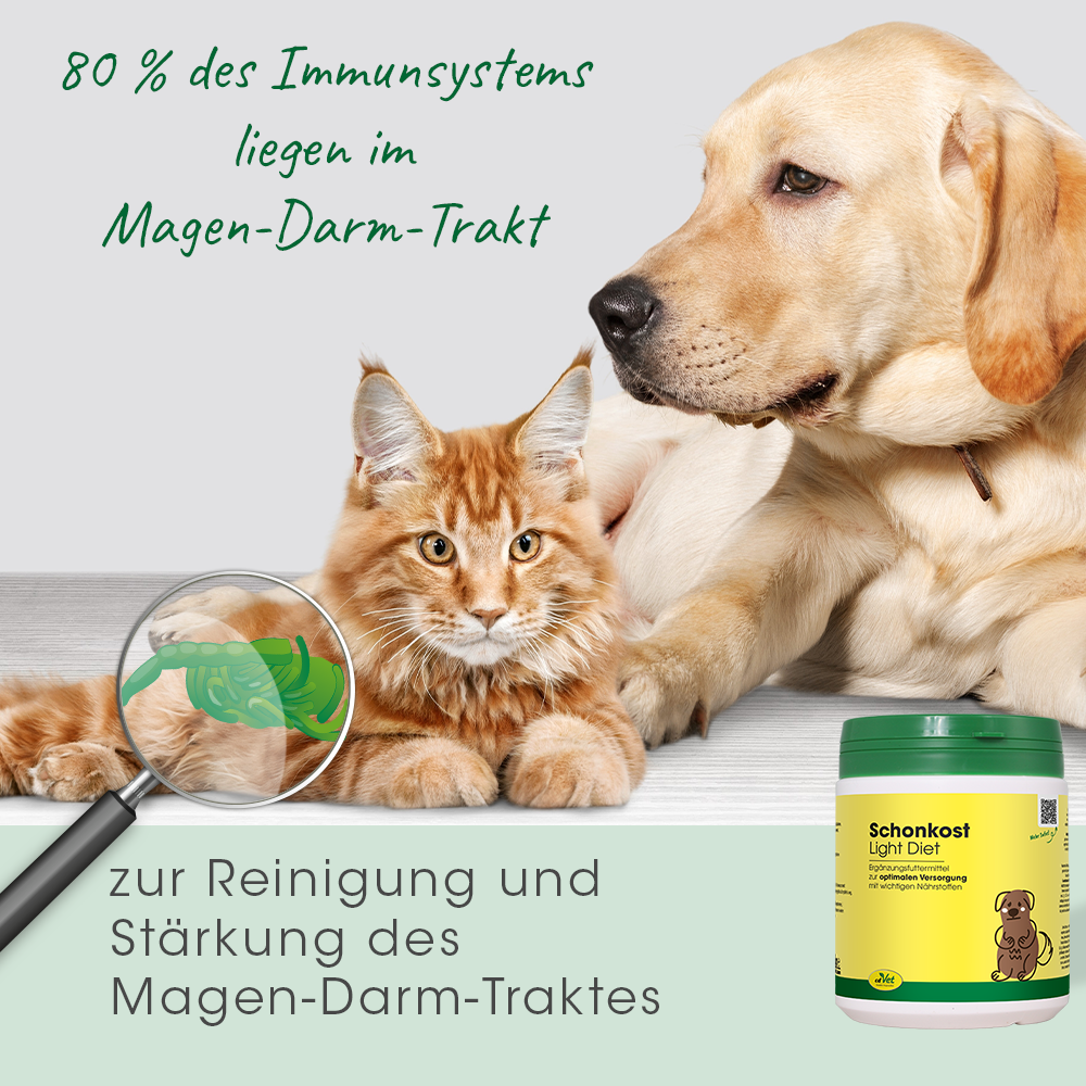 Schonkost 350 g