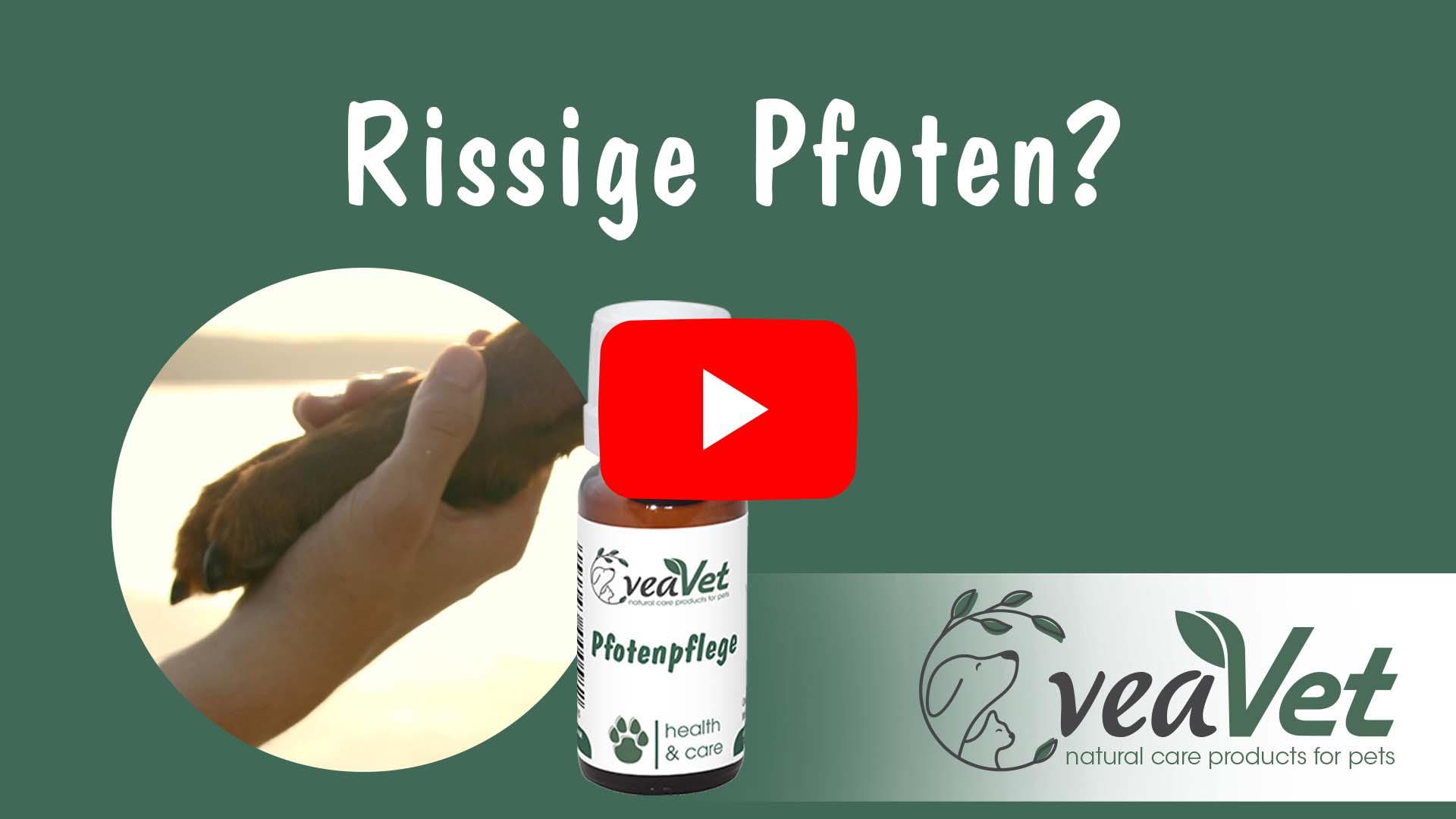 VeaVet Pfotenpflege 10 ml VeaVet Pfotenpflege 10 ml