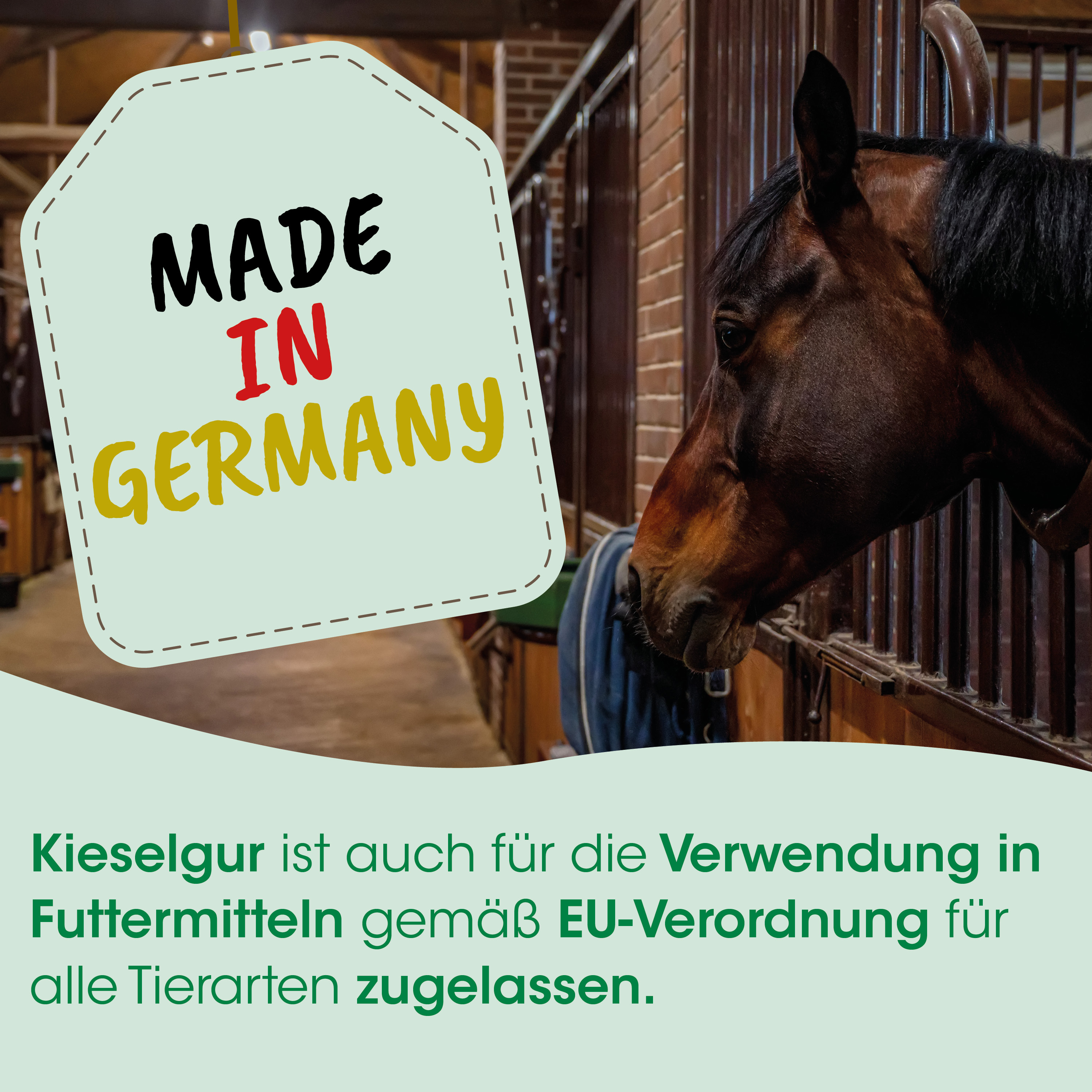 Pferd, Ställe, Banner, Made in Germany, Futter