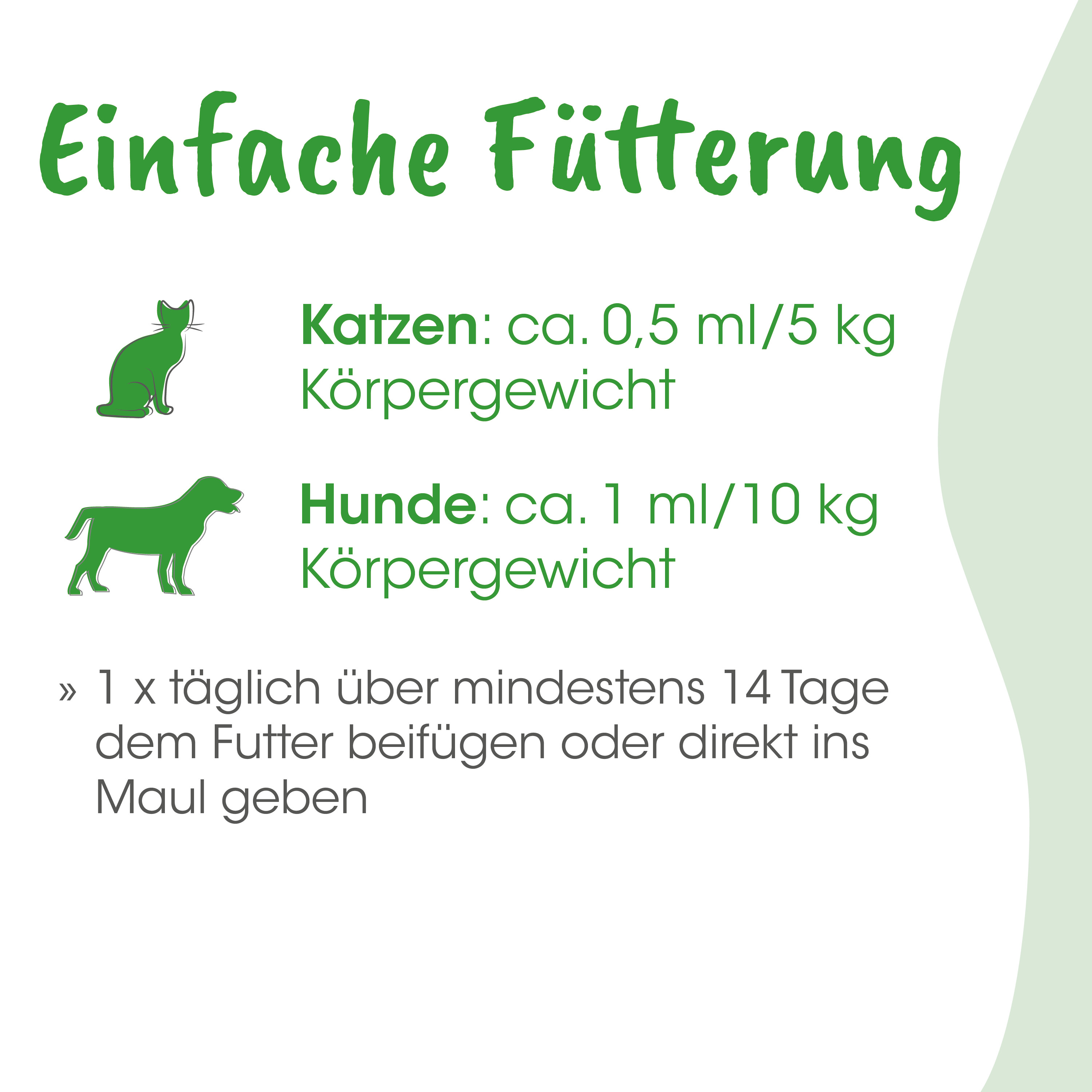 futter, katze, hund, fütterung, anleitung