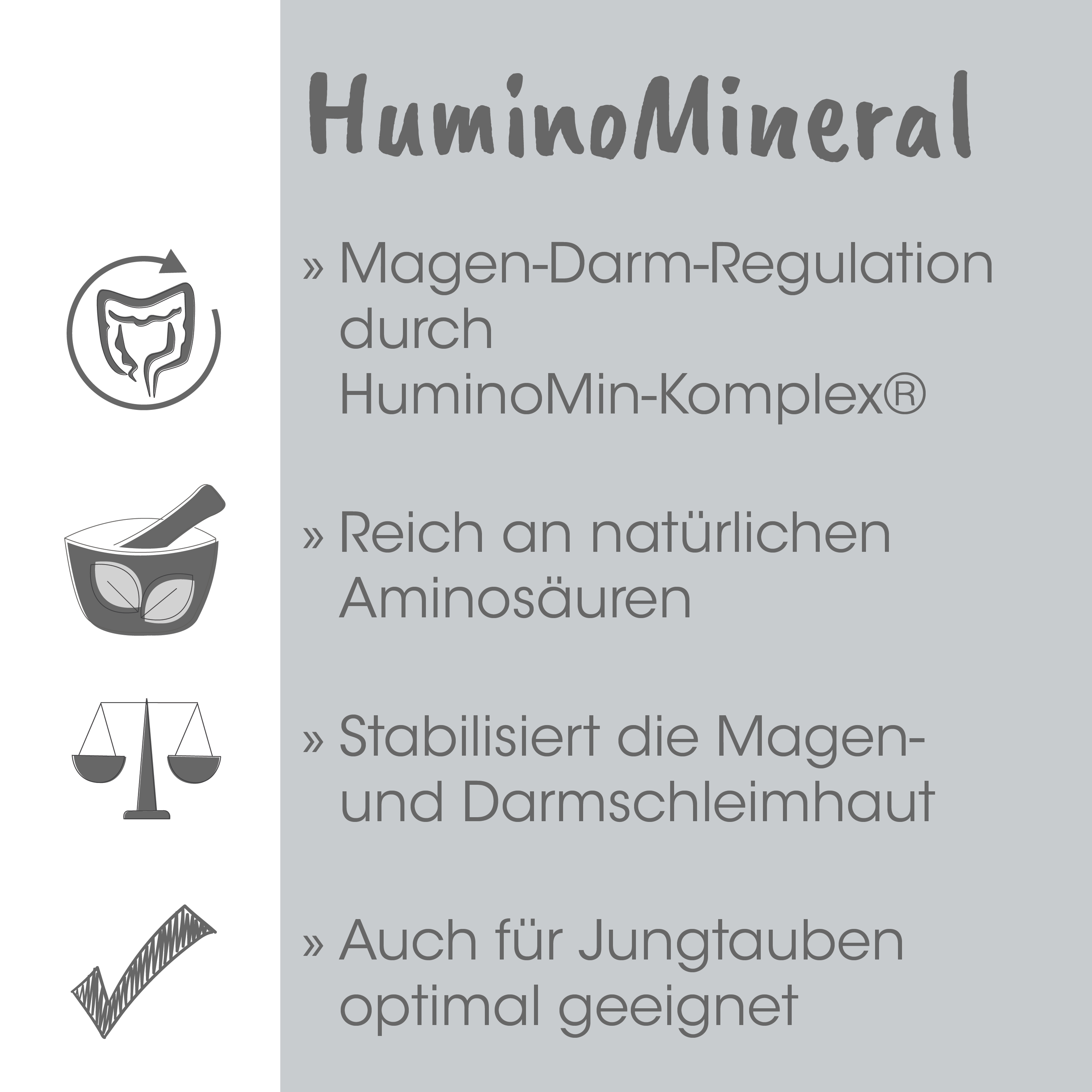 Magen-Darm-Regulation, HuminoMin-Komplex, Aminosäuren, Magen-Darm-Schleimhaut, Jungtauben geeignet