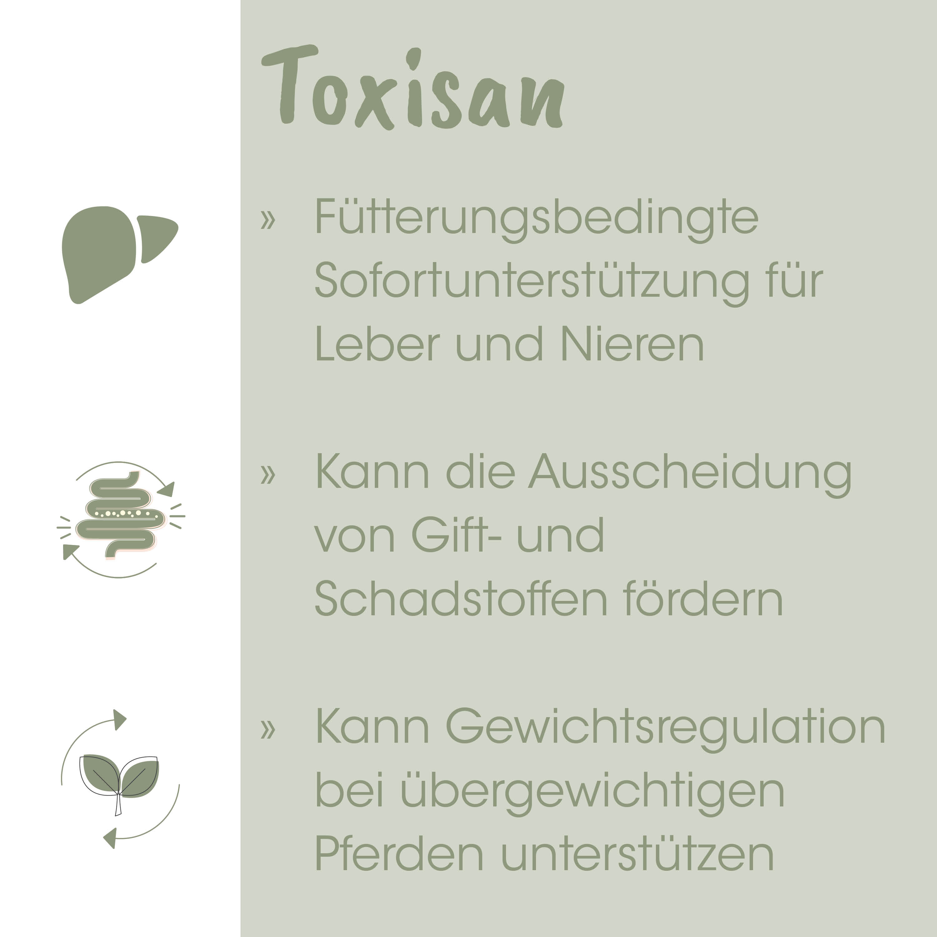 medizinisch, ergänzung, Leber, Niere, Spritze