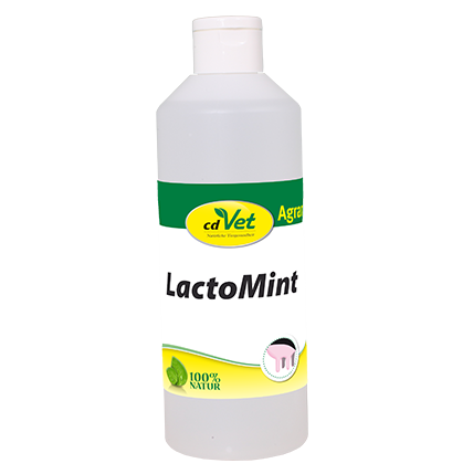 LactoMint 500 g -Sorbe- LactoMint 500 g -Sorbe-