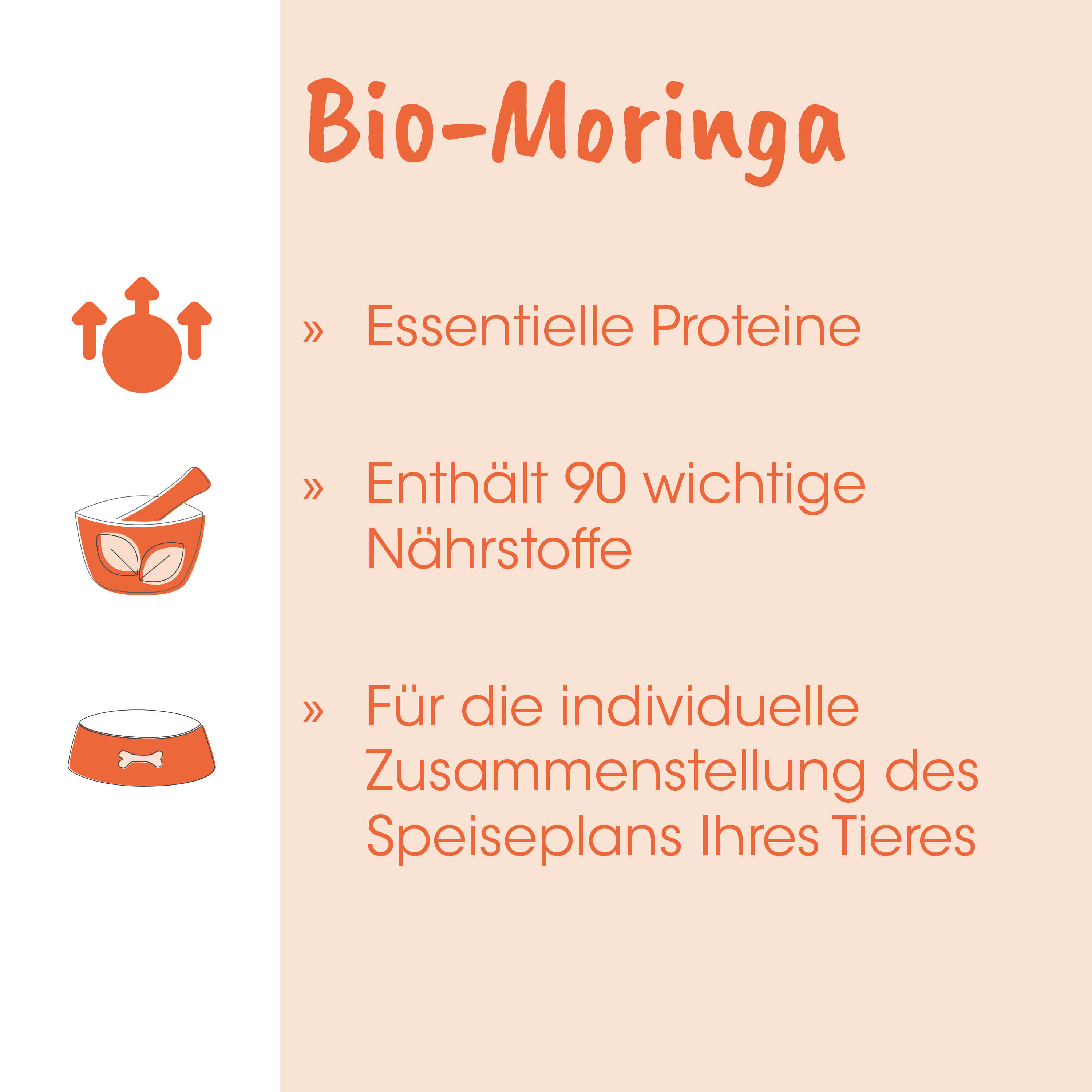 Bio-Moringa, Essentielle Proteine, Nährstoffe, Tierisches Futter, Individuelle Zusammenstellung