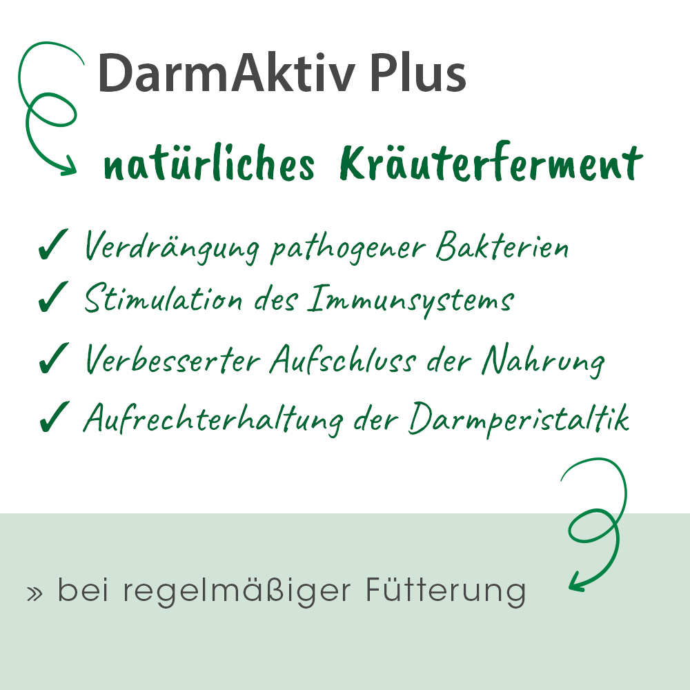 DarmAktiv plus 250 ml