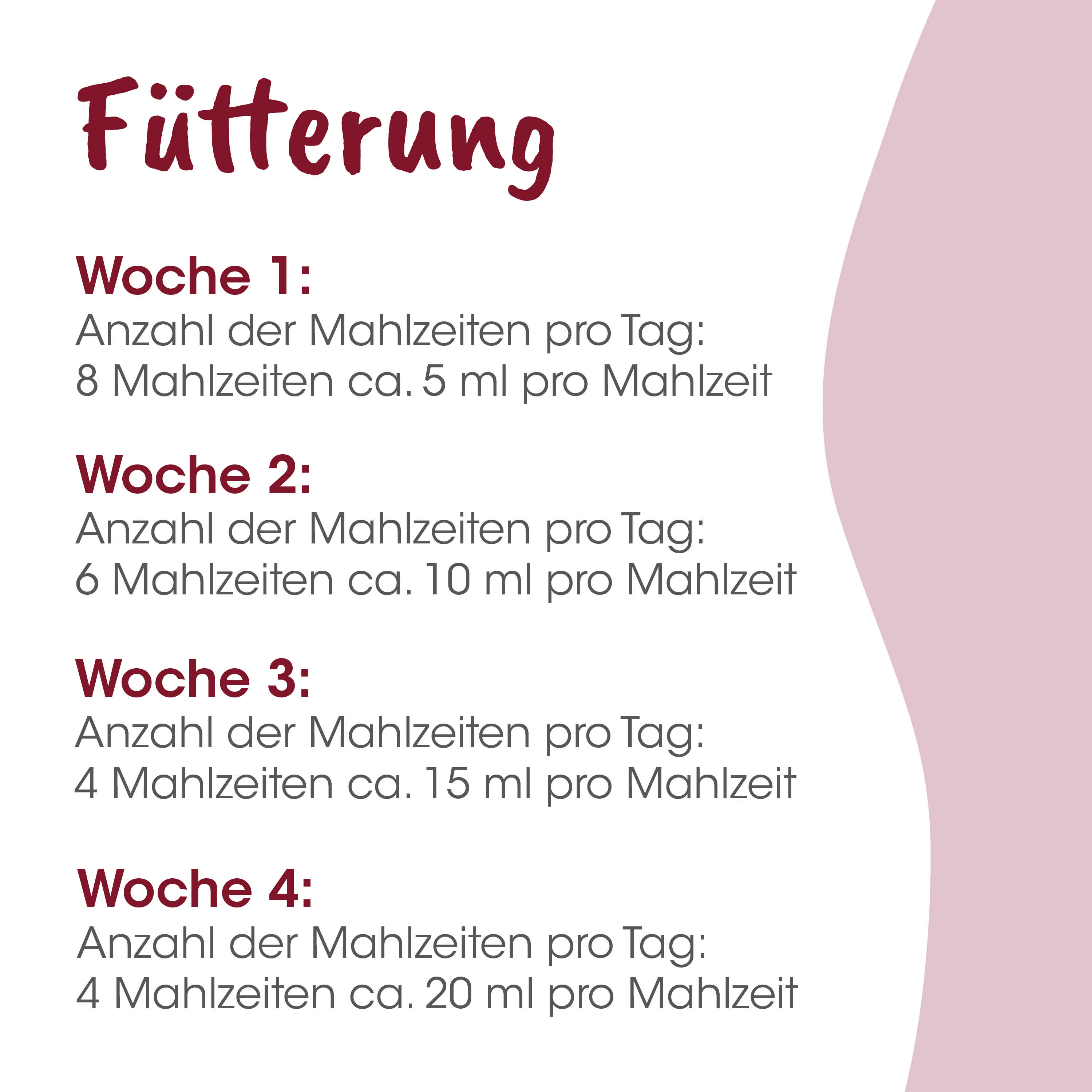 futterung, woche, meal plan, mahlzeiten, tipps