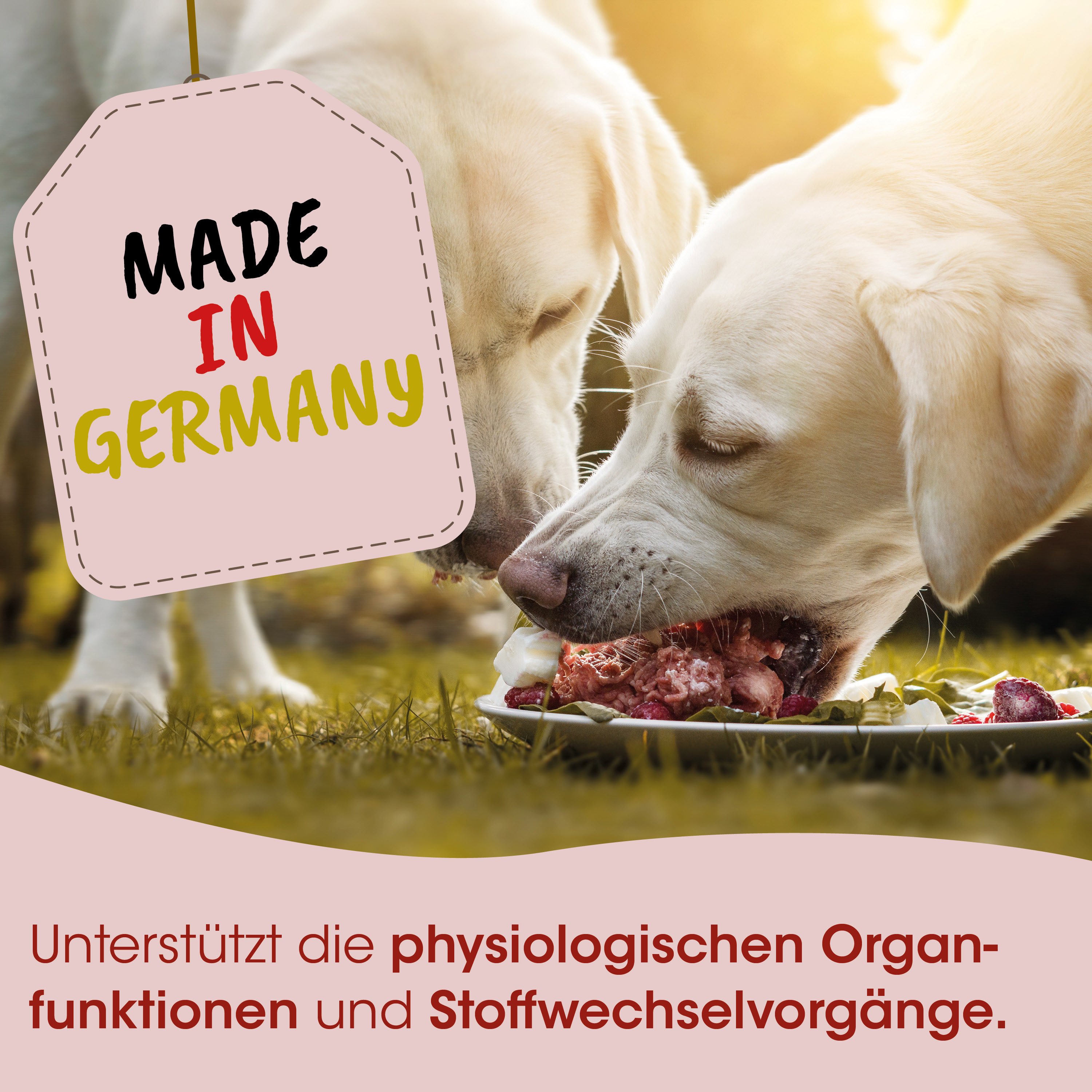 Hundefutter, Knochen-Fleisch, Hundefutterplatte, Ernährung, Germany label