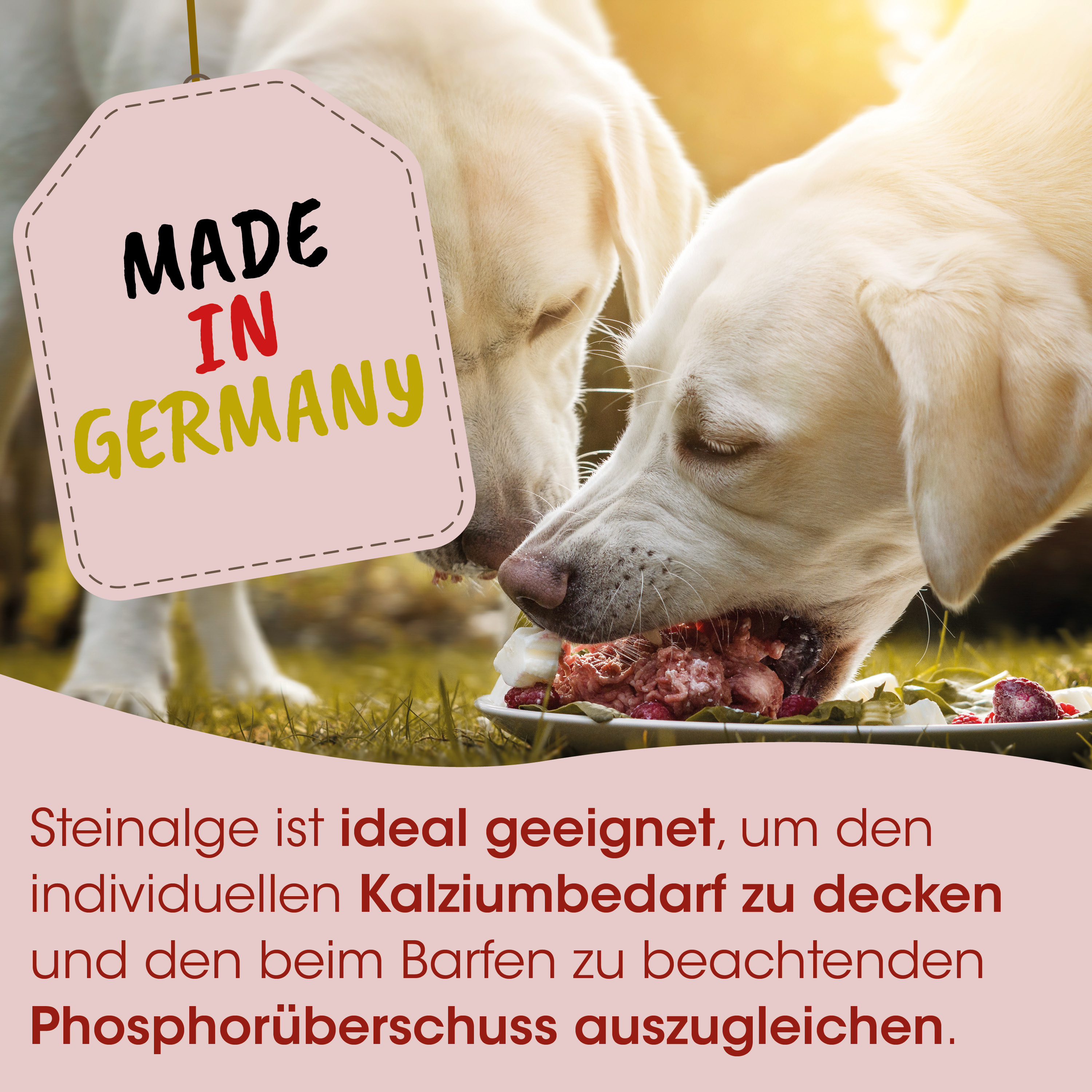 Hundfutter, Hundensnacks, Knochenfutter, Schüssel Nahrung, Hergestellt in Deutschland
