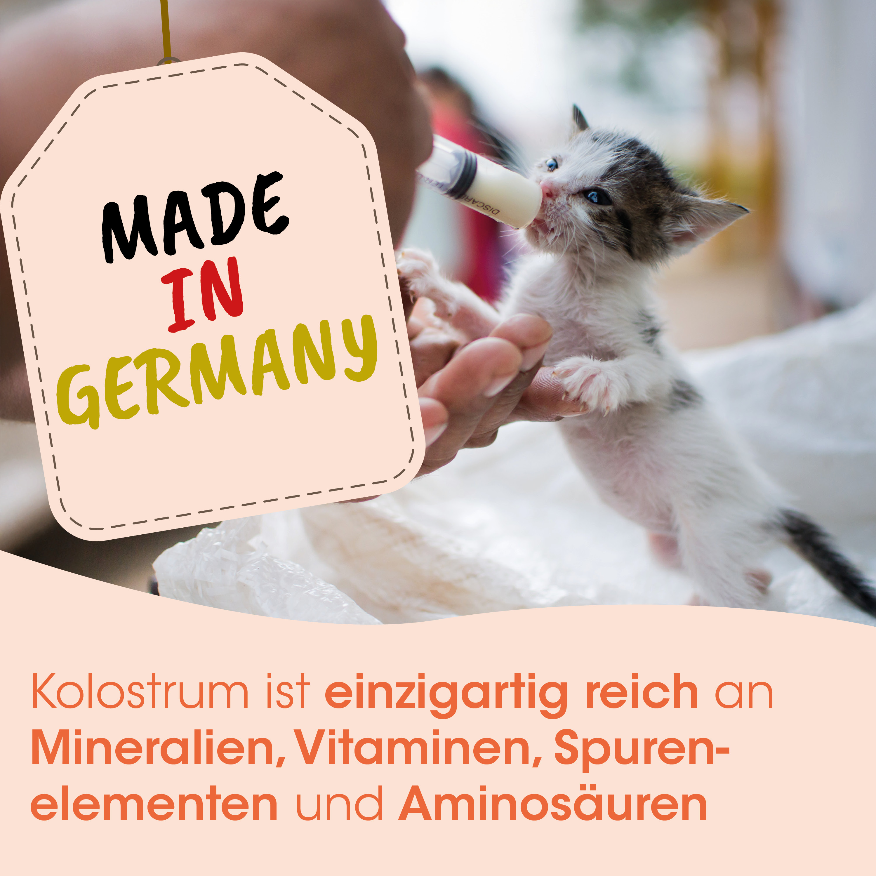 Katzenmilch, Kätzchen, Fläschchen, Milchfütterung, Tiernahrung