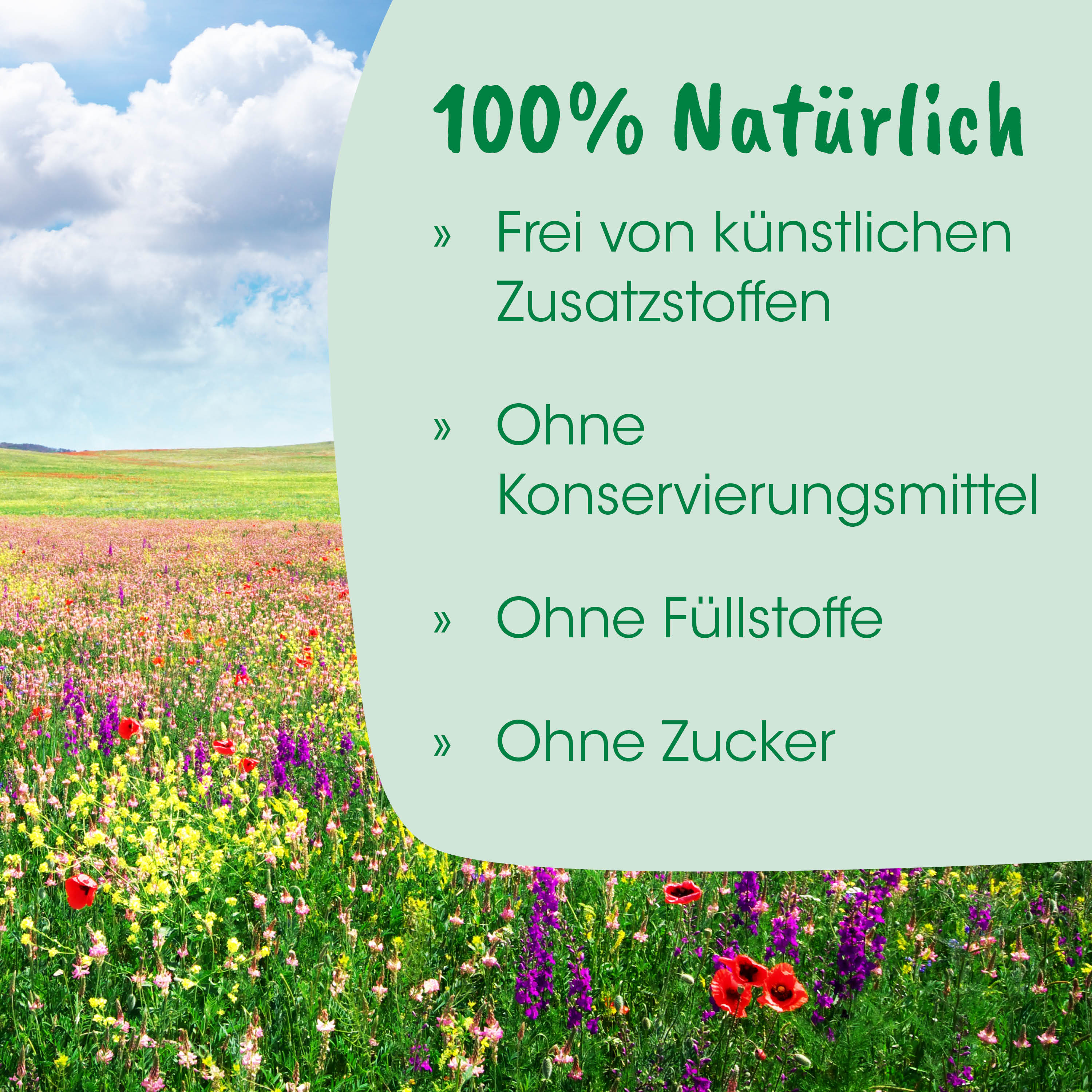 Feld, Blumen, Wiese, Frühling, Banner