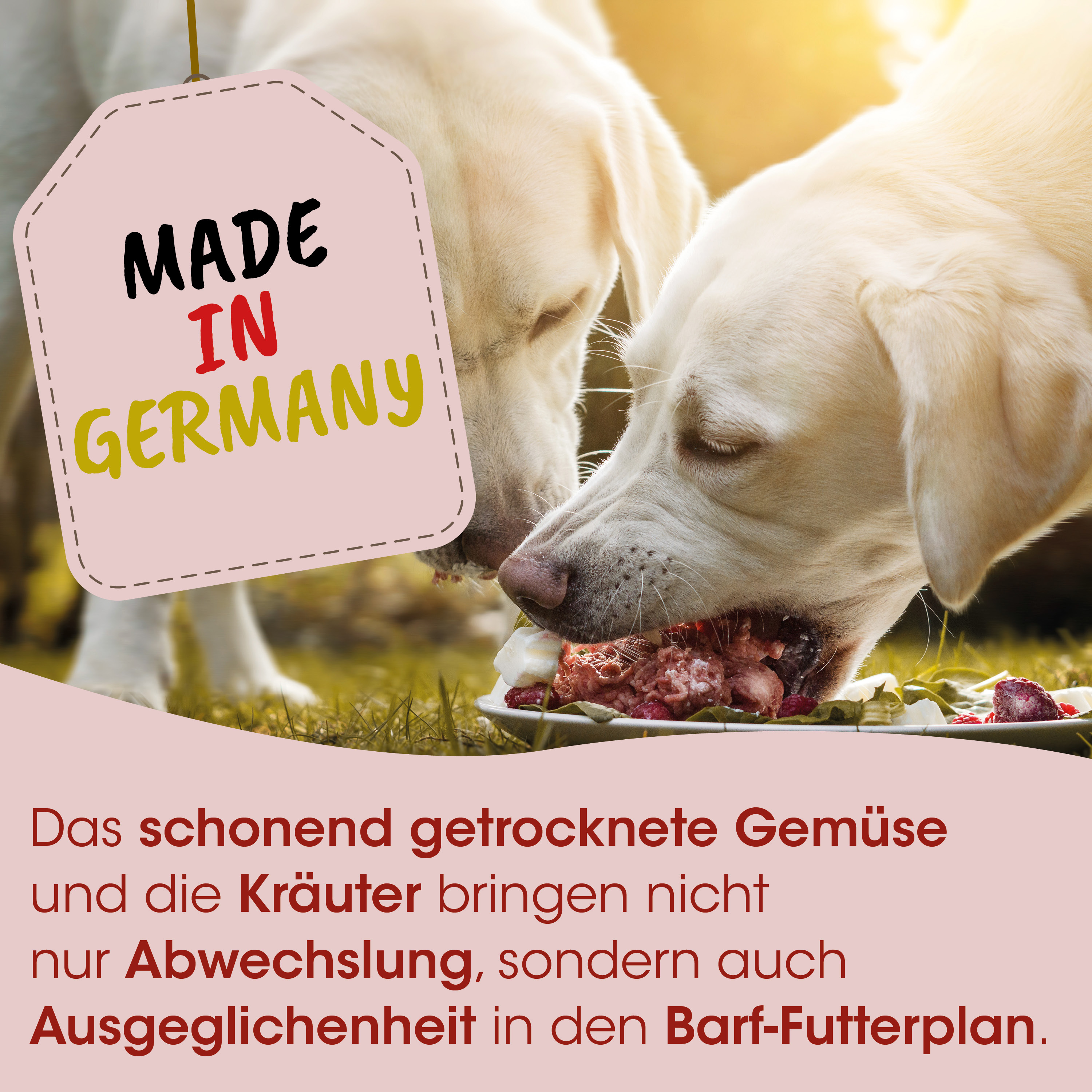 Hund, Nassfutter, Hundeessen, Knochenfutter, Fleischstücke