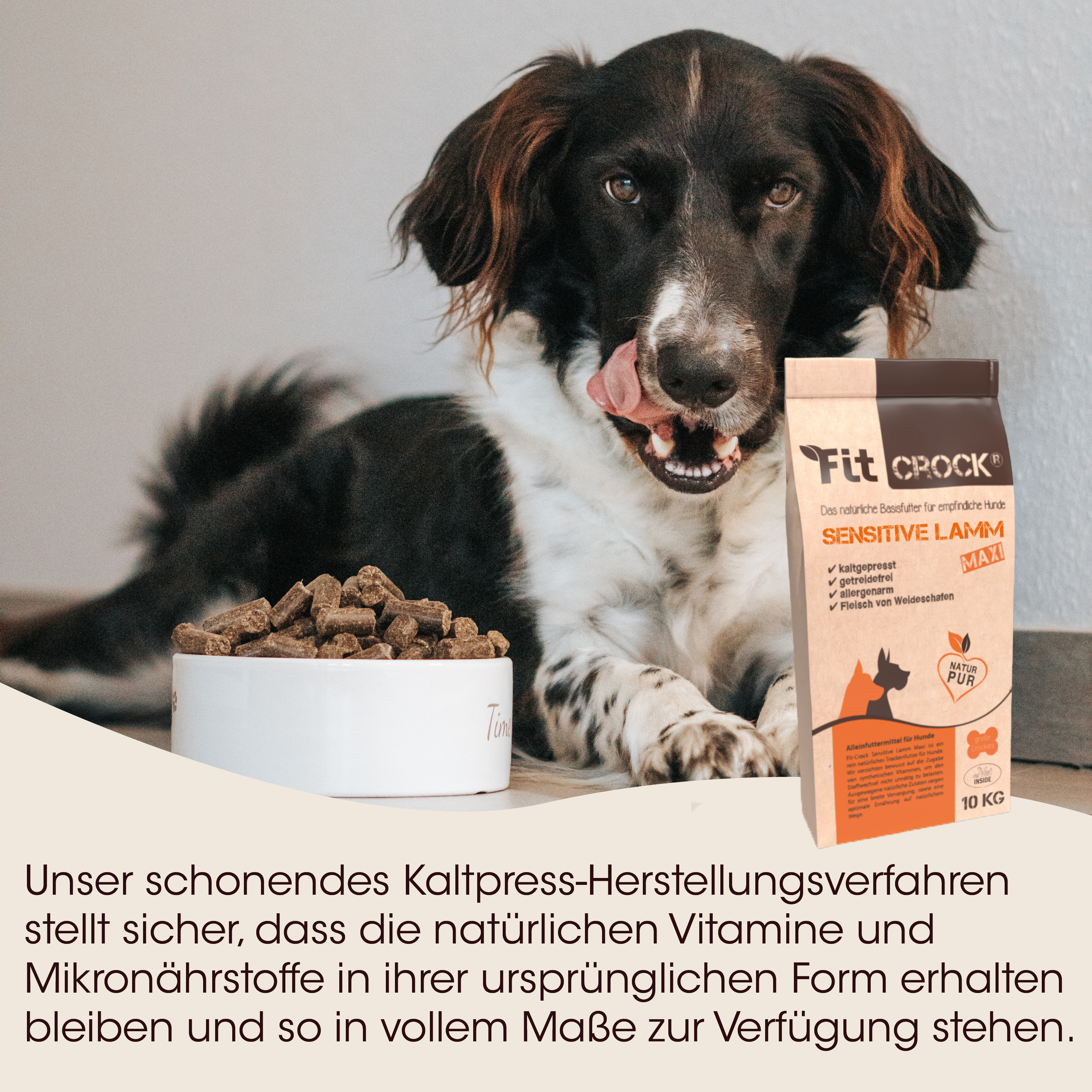 Hund, Tiernahrung, Kibble, Braune Verpackung, Flaschenetikett