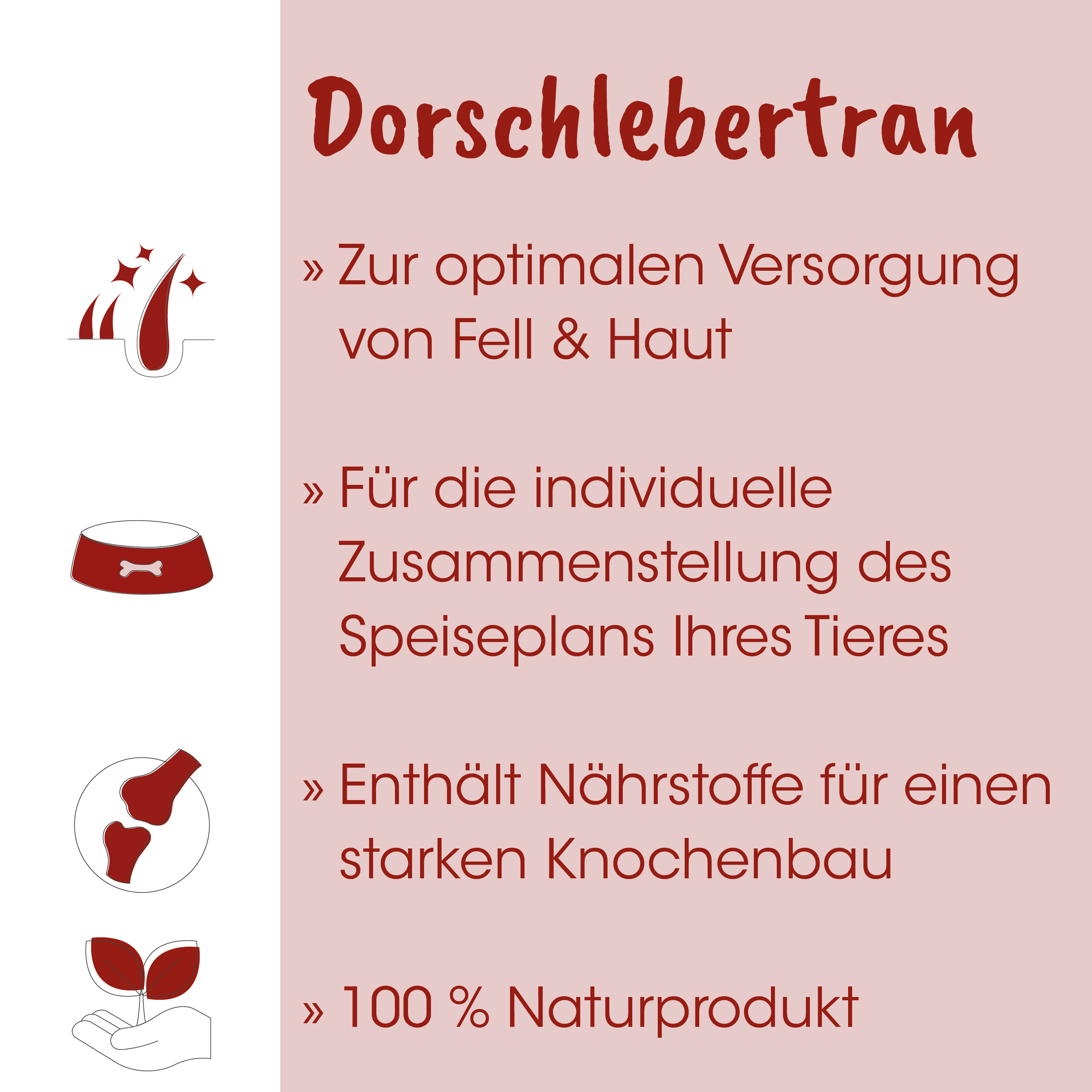 Hunde-Futter, Napf, Knochen, Tierarzt, Sämling