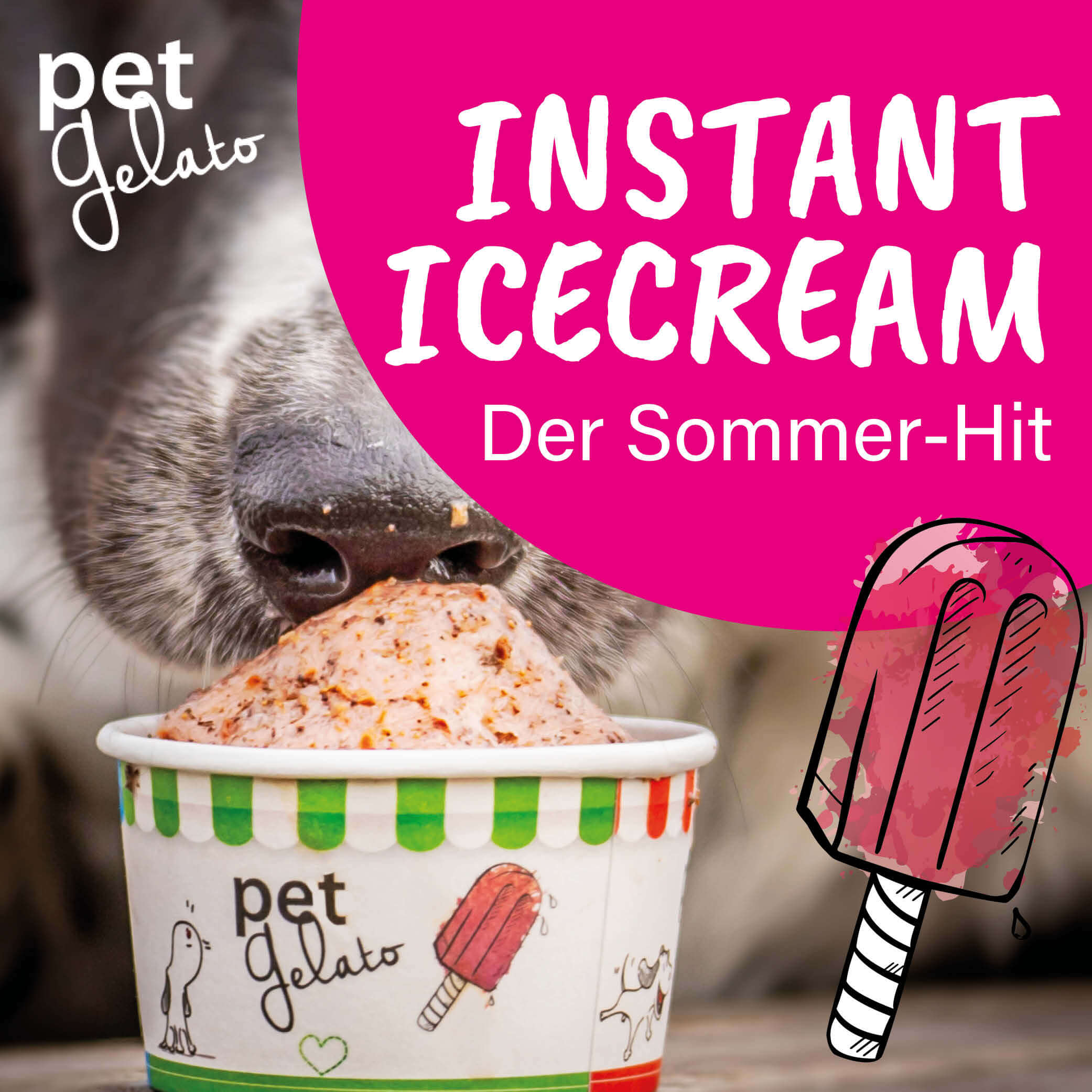 Website-Banner-petgelato-mobil Sahne, Nachtisch, Essen, Eiscreme, Werbung