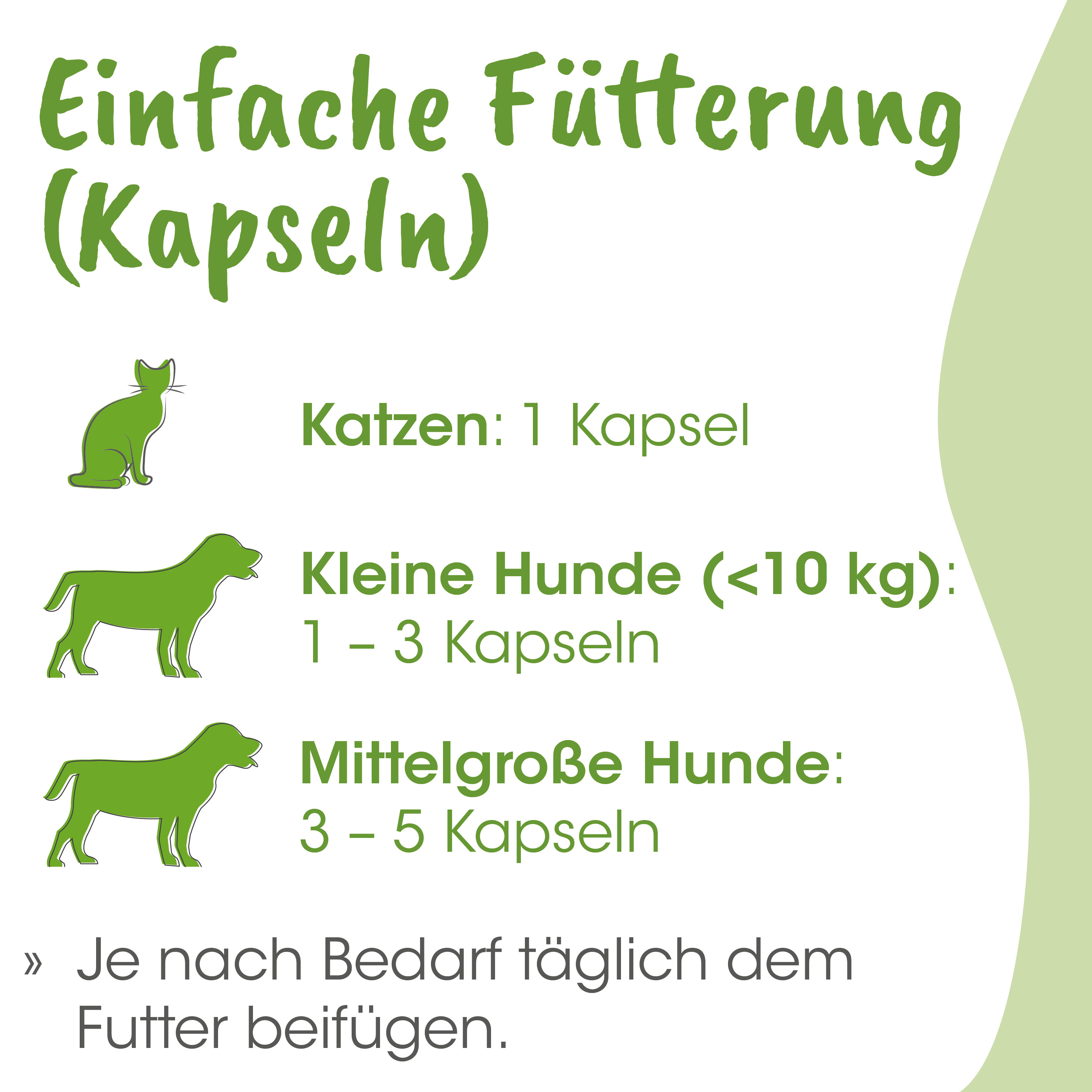Katzenfutter, Kapseln, Hunde, Katzen, Katzenfutter-Verzehr