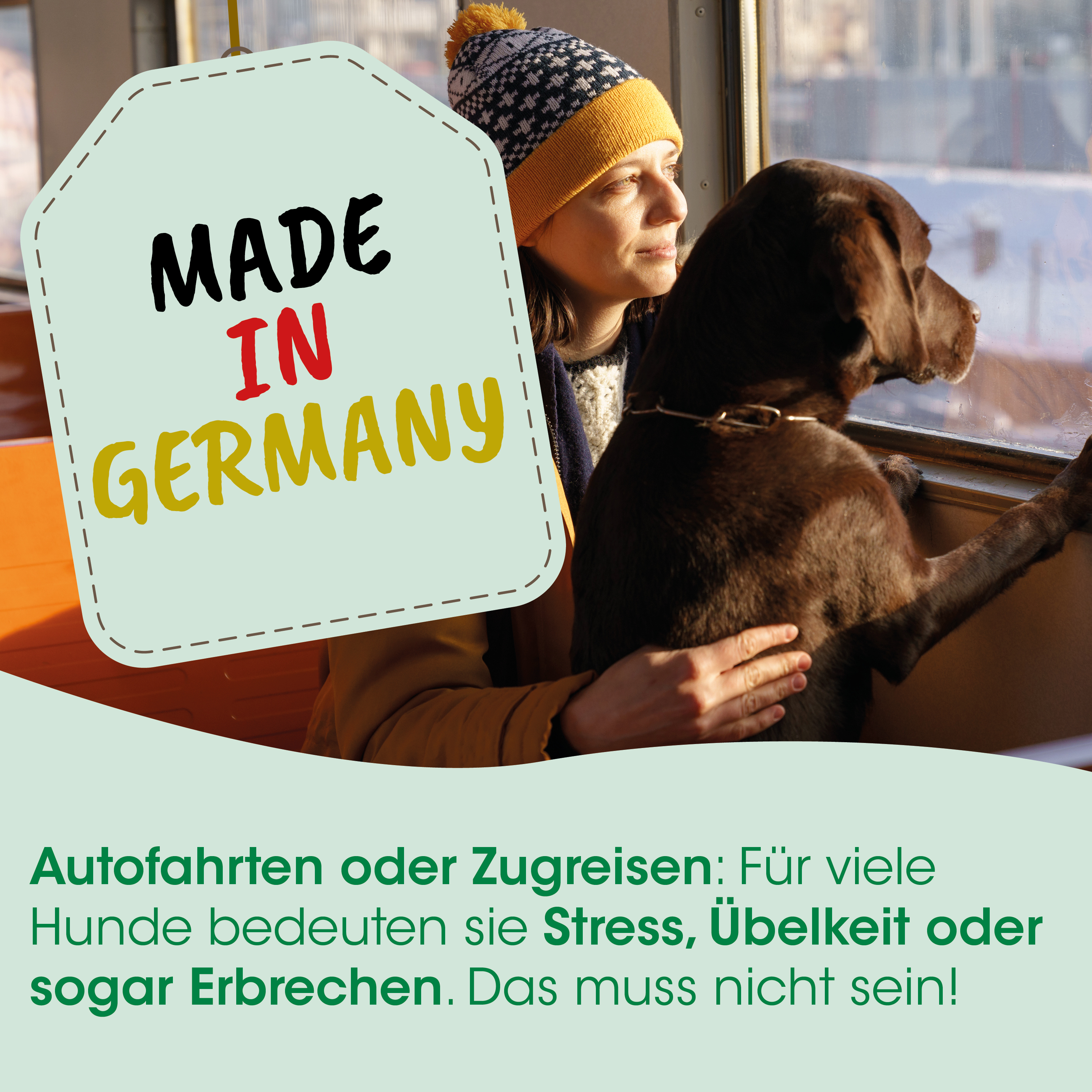 hund, braun, lederhalsband, passagier, frau
