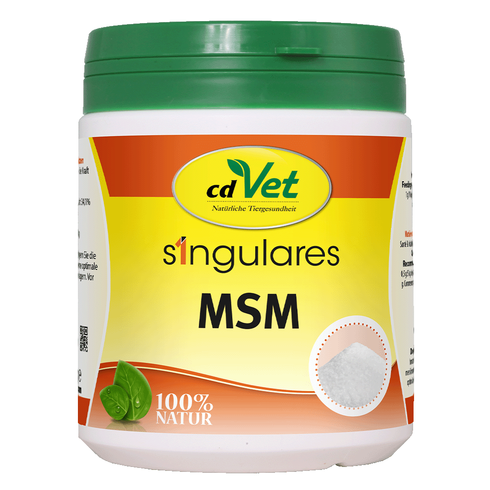 Singulares MSM 450 g Essen, Mayonaise, Kräuterig, Kräuter, Pflanze