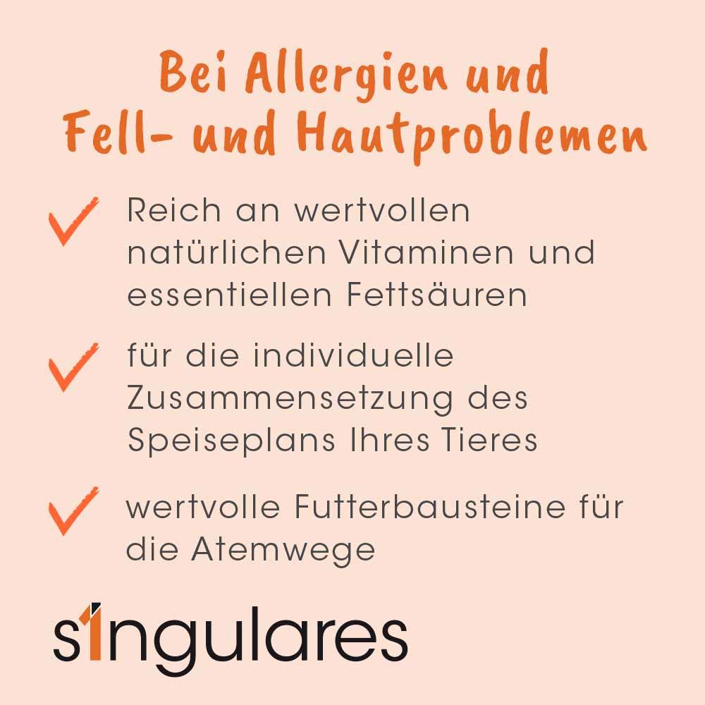 Shopbild Werbung, Plakat, Seite, Text