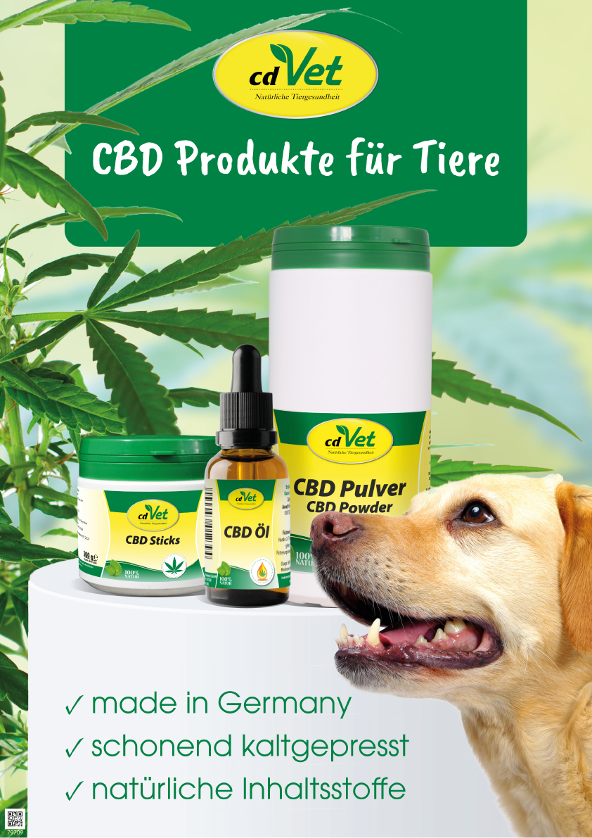 Kräuterig, Kräuter, Pflanze, Hund, Haustier