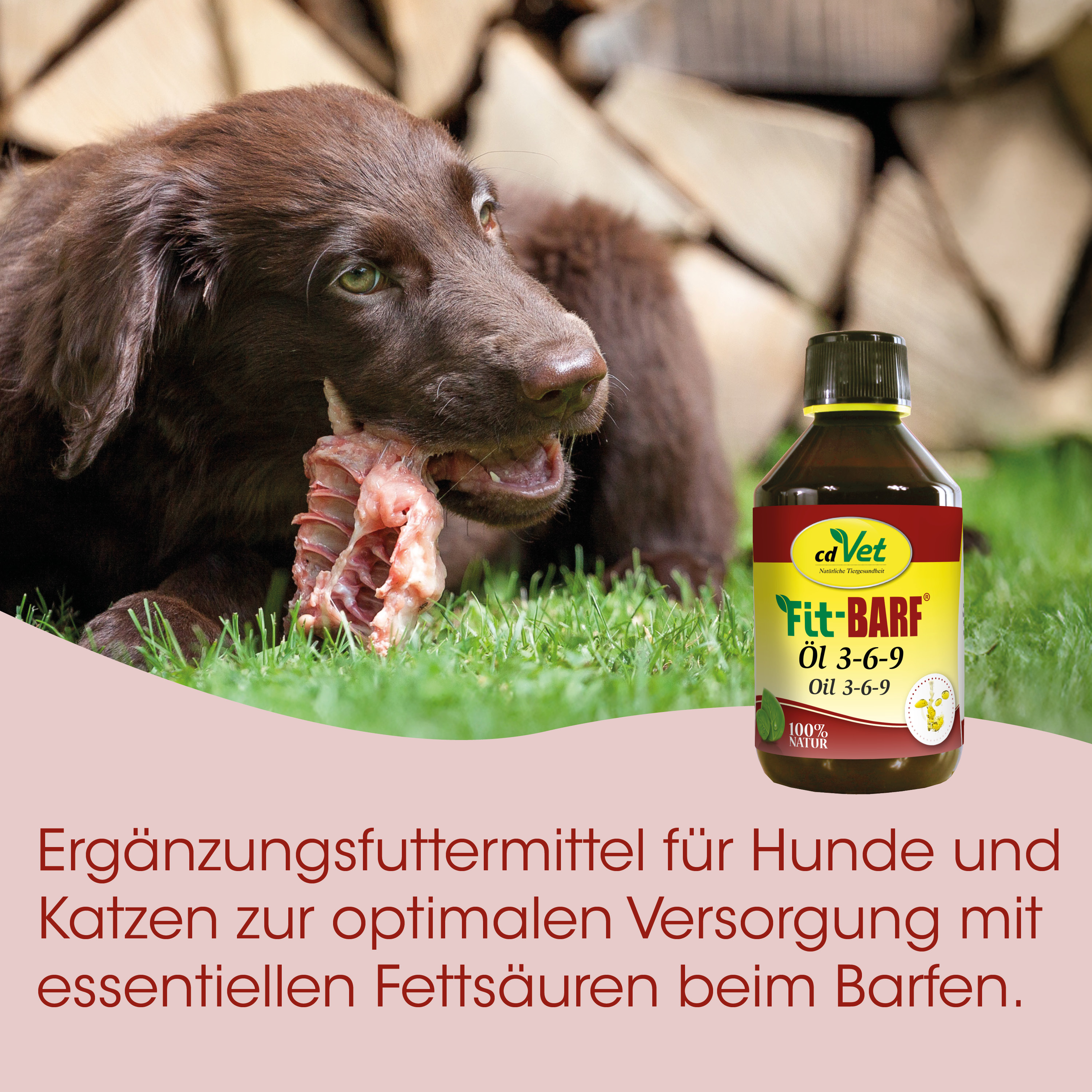 Hund, Hunde-Futter, Ölzusatz, Flasche, Etikett