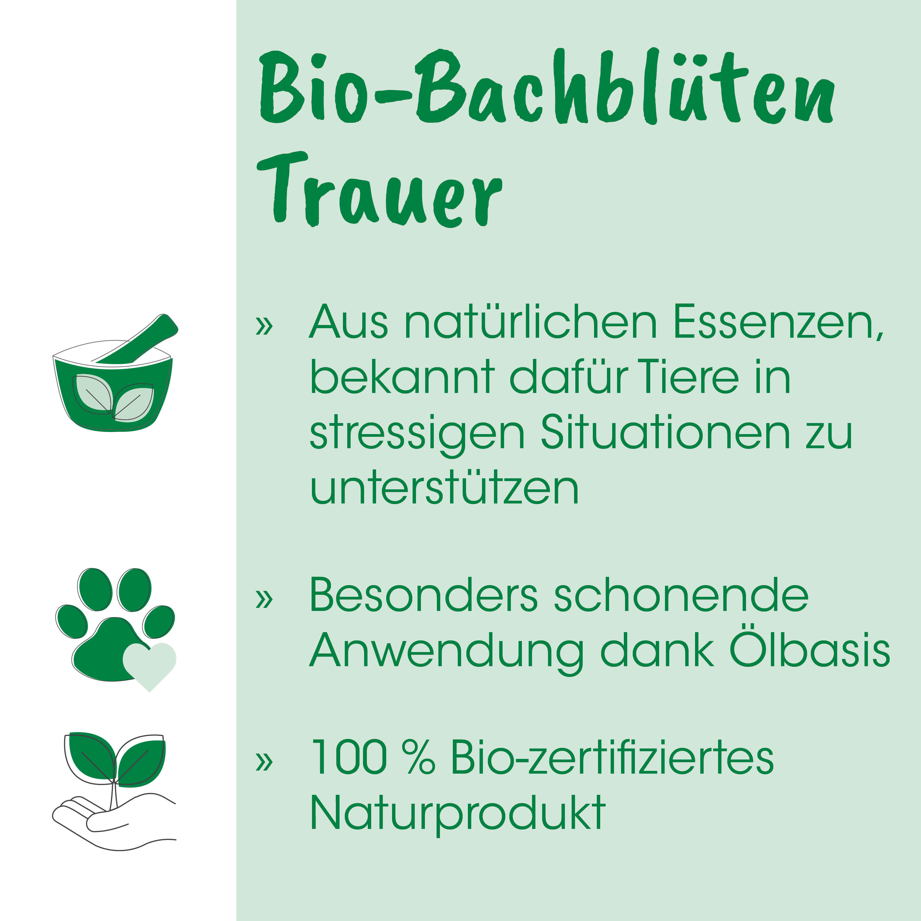 bio, teaser, natur, grün, verpackung