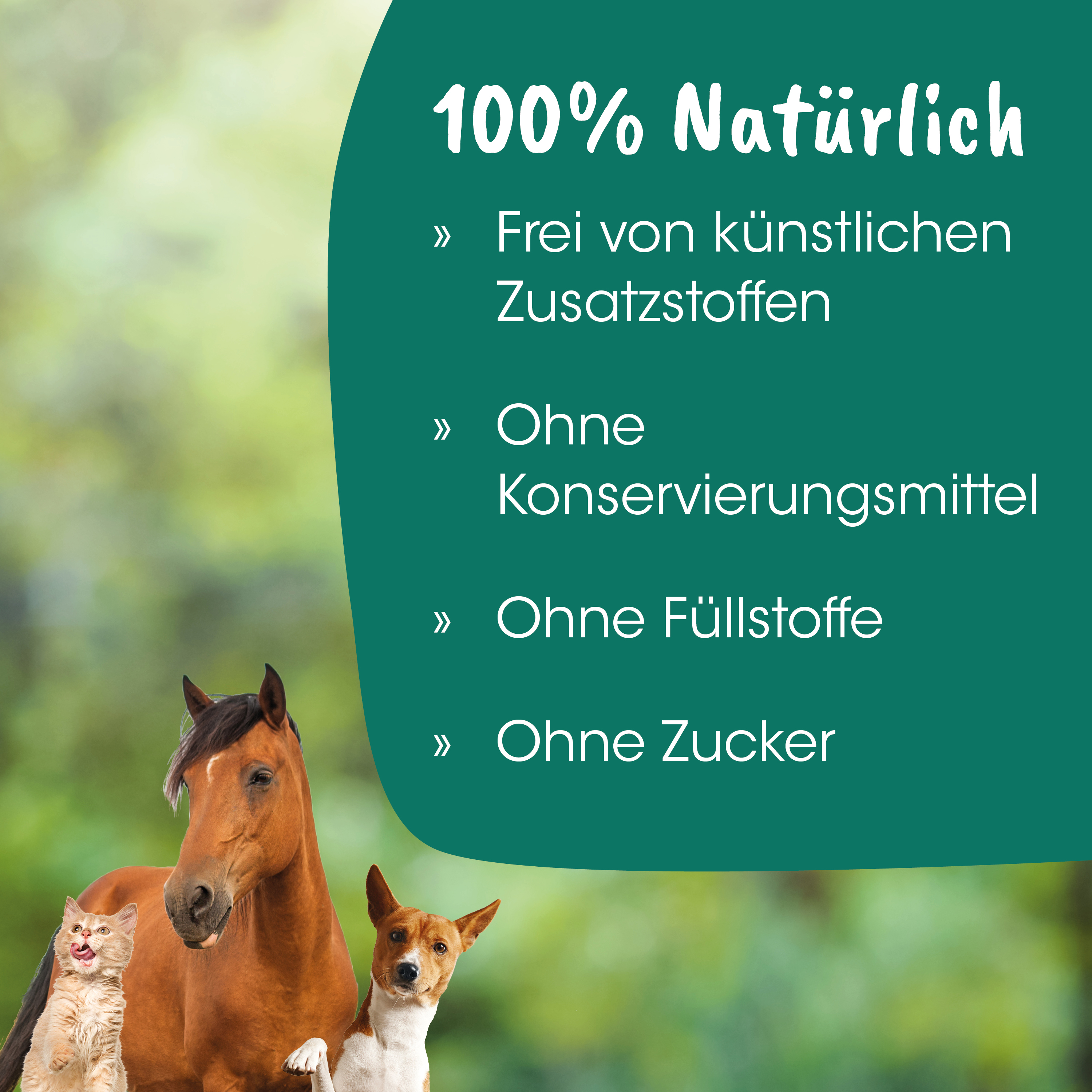 Pferd, Hund, Katze, Haustiere,  Bio