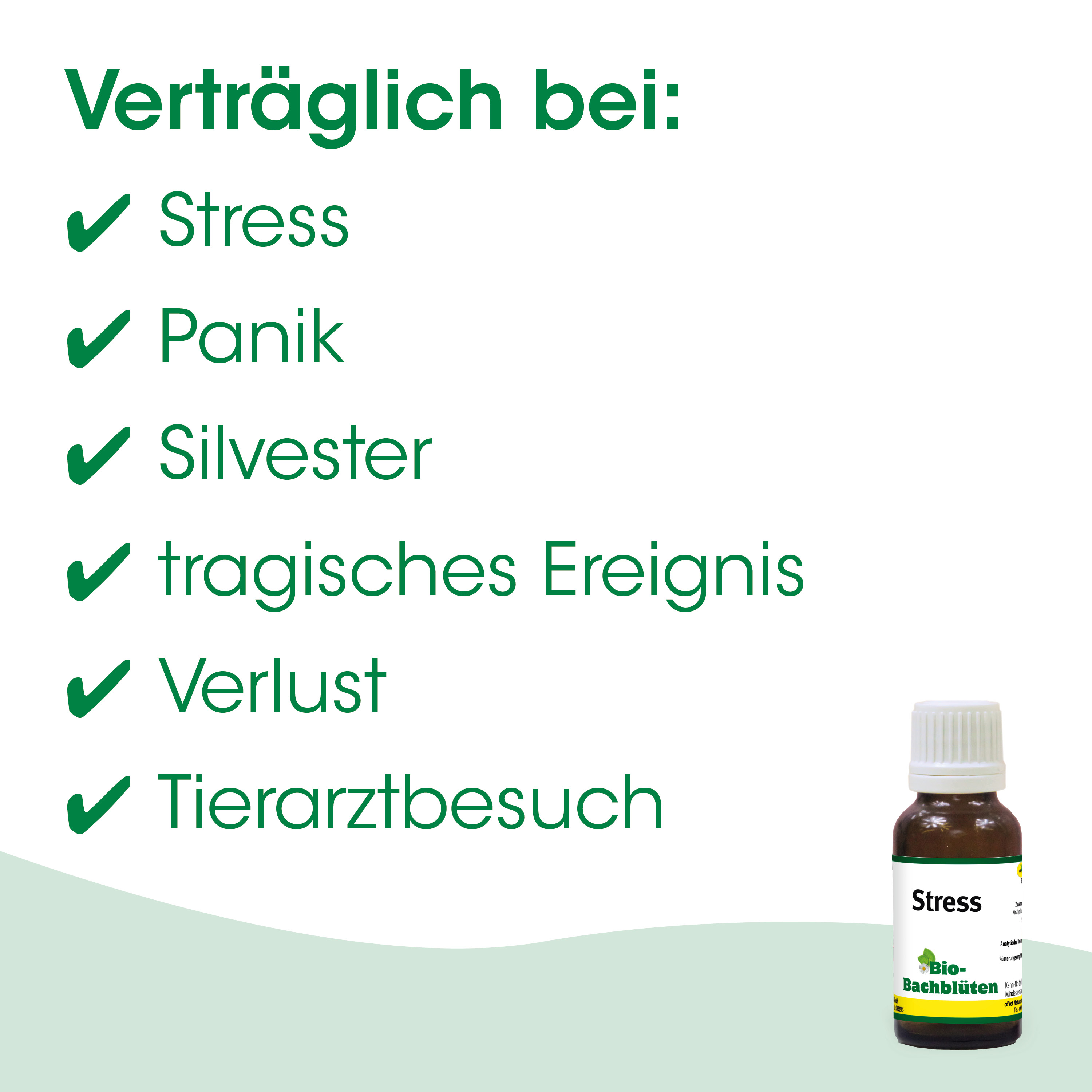 Stress, Panik, Silvester, tragisches Ereignis, Tierarztbesuch