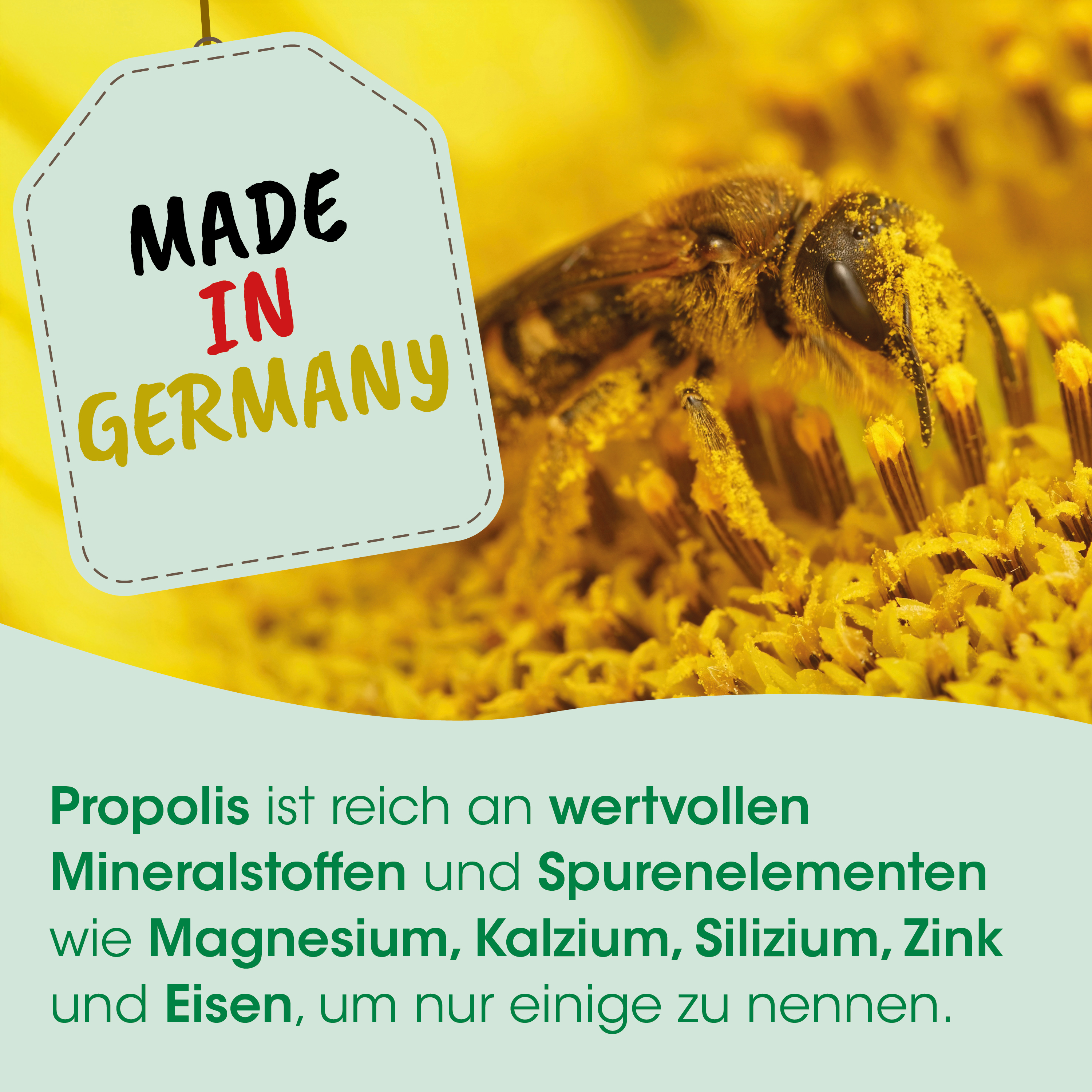 Biene, Blüte, Honig, Imker, Propolis