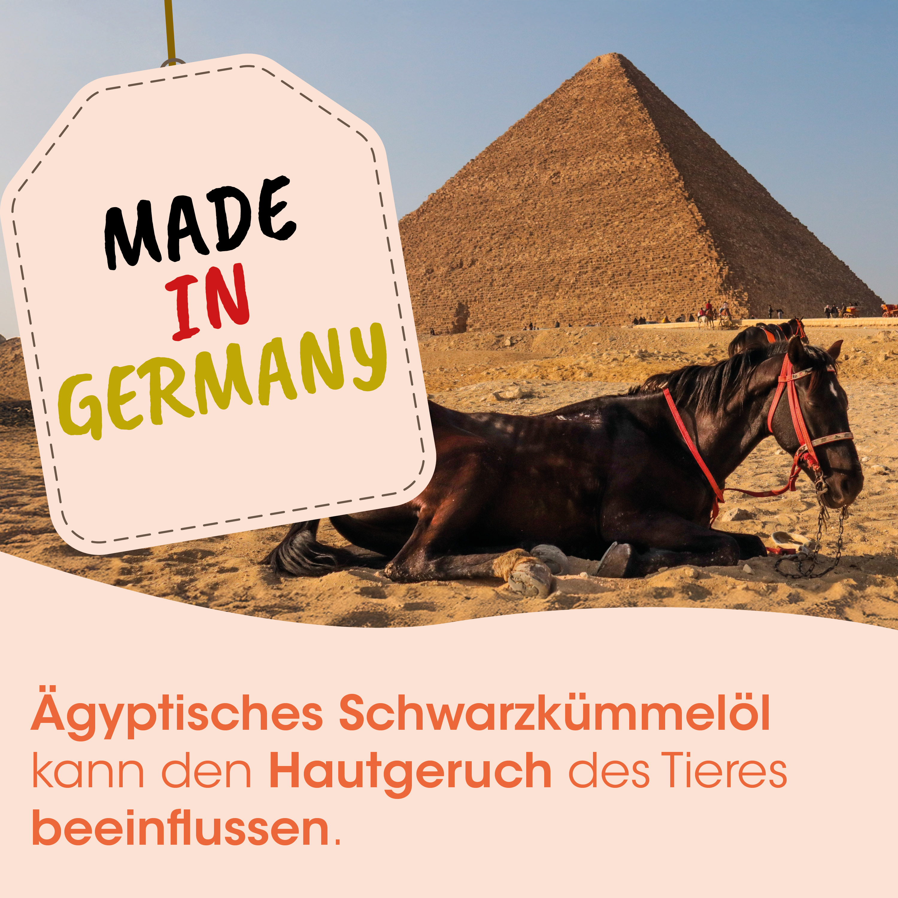 Pferd, Sattel, Zügel, Pyramide, Wüste