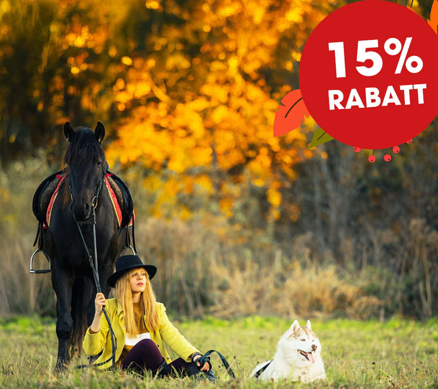 Pferd, schwarzes Pferd, Reiten, Frau, Hund, Herbst