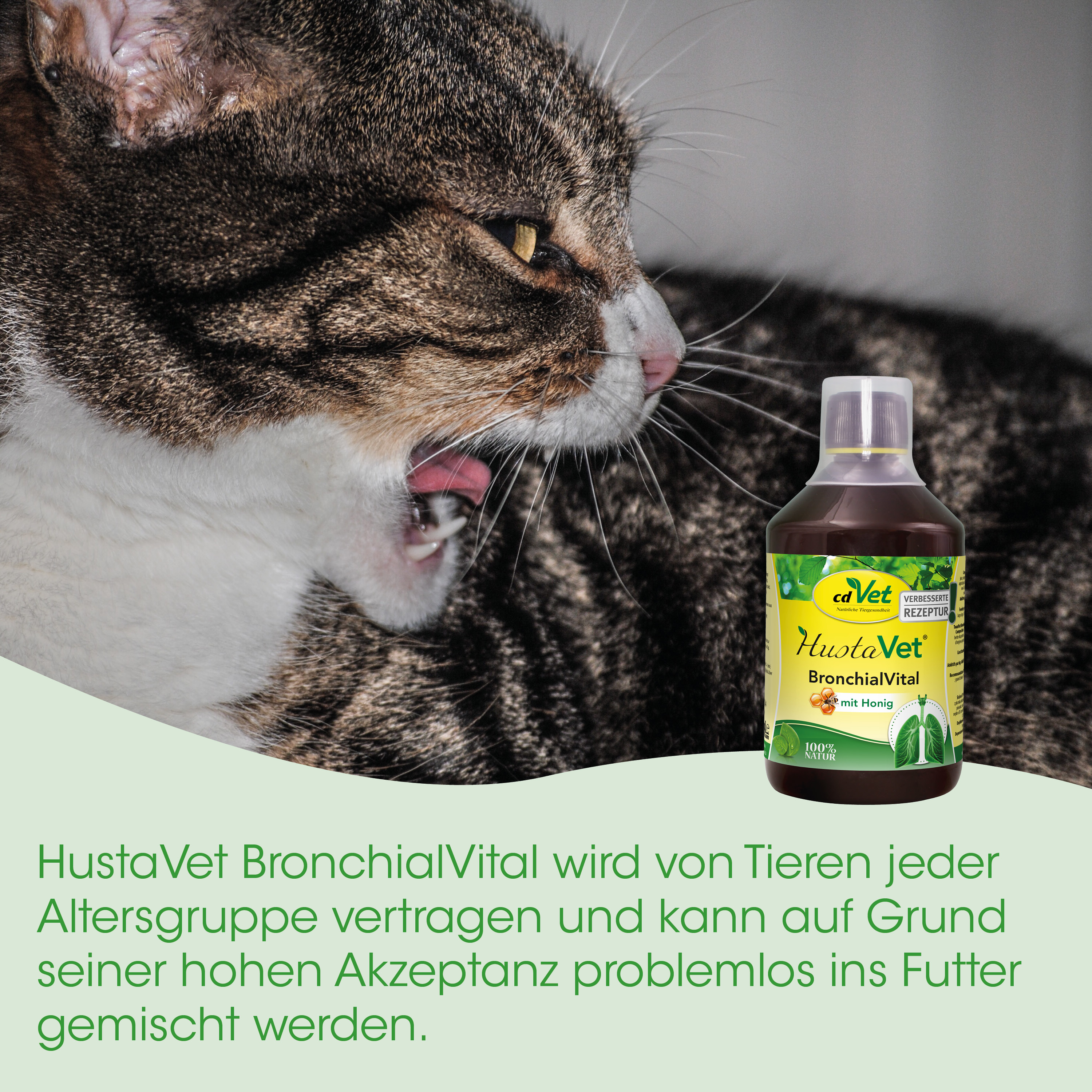 Katze, Medizin, Flüssigkeit, Flasche, Tierarzt